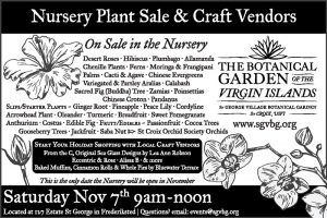 SGVBG Nursery and Craft Sale Nov 7